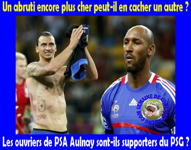 SUPPORTERS PSG