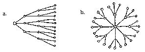 spinprog_image001
