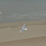 la_mer__101__115_