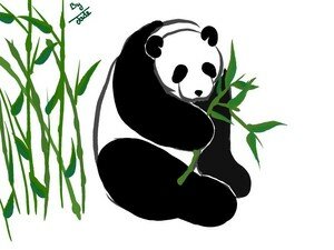 paint_chinoise_panda