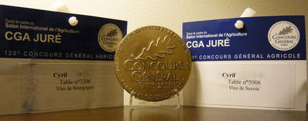 CGA2011