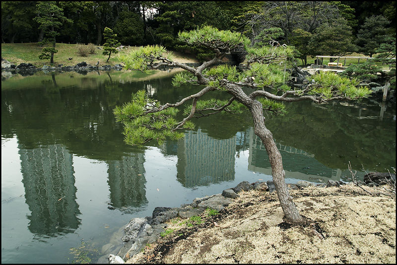 216-Hamarikyu-6