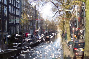Amsterdam_avec_Thomas__Beno_t_et_Z_lie_005