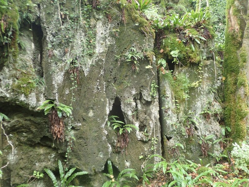 O les carrières de tuf