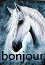 cavalo5bonjour