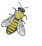abeille_013