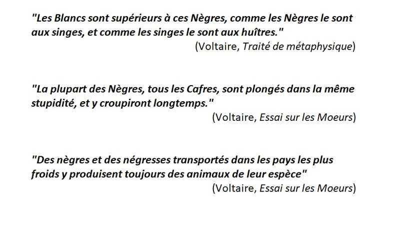 VoltaireRacisme2