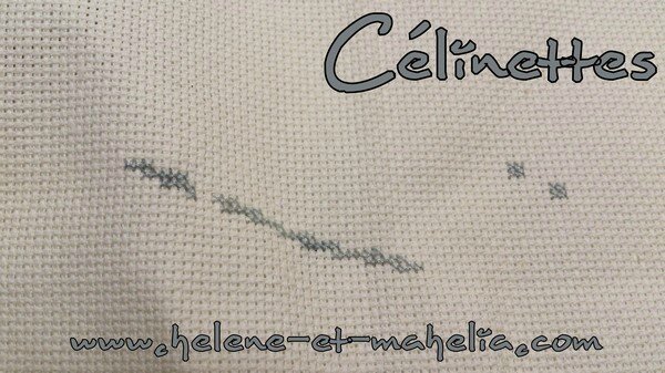célinettes_saljanv15_1