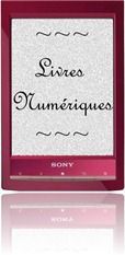 logo livre numérique