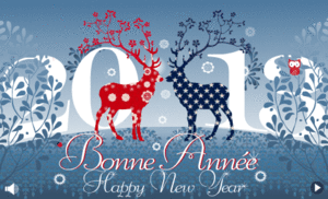 bonne-annee-2013