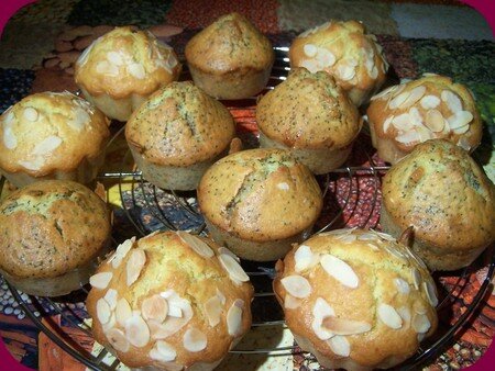 muffinspavotamande1
