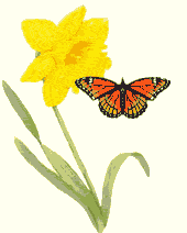 papillon_fleur