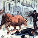 chasse au taureau