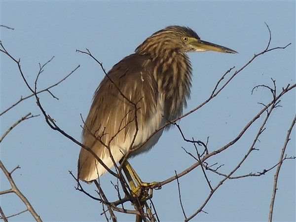 P1270505