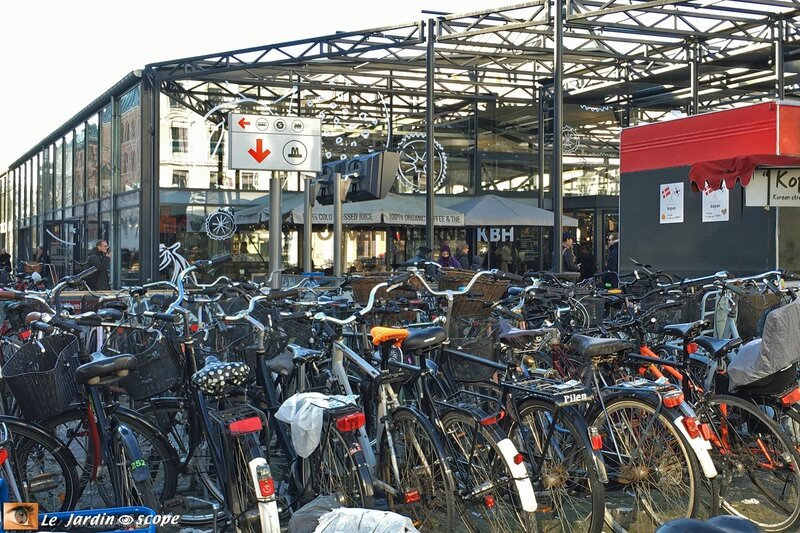 Parking à bicyclettes à Copenhague