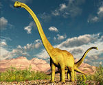 Diplodocus