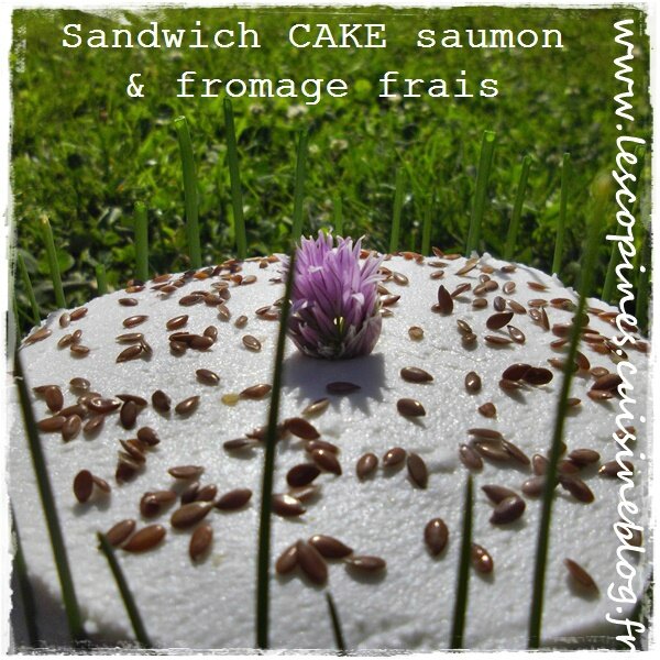sandwich cake01