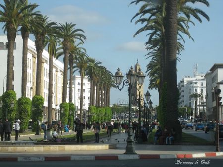 Avenue Mohammed V