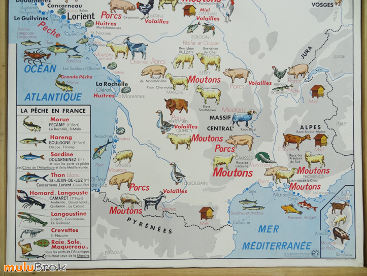 CARTE-Elevage-Peche-3-muluBrok