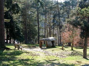 Saint_Nectaire_dolmen_Parc_3