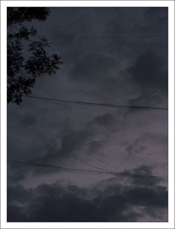 28_filet_nuit