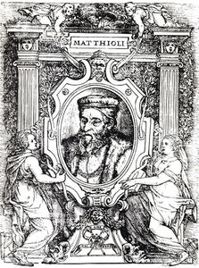 Mattioli2