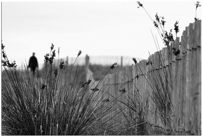 Dunes_Ste_Anne_La_Palud_N&B_1