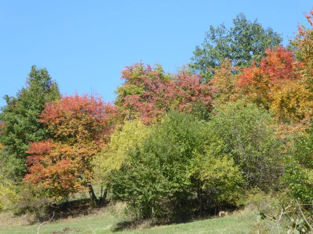 a35