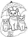 Famille_de_chats_sous_parasol