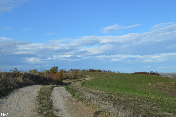 181110_Tournon_2
