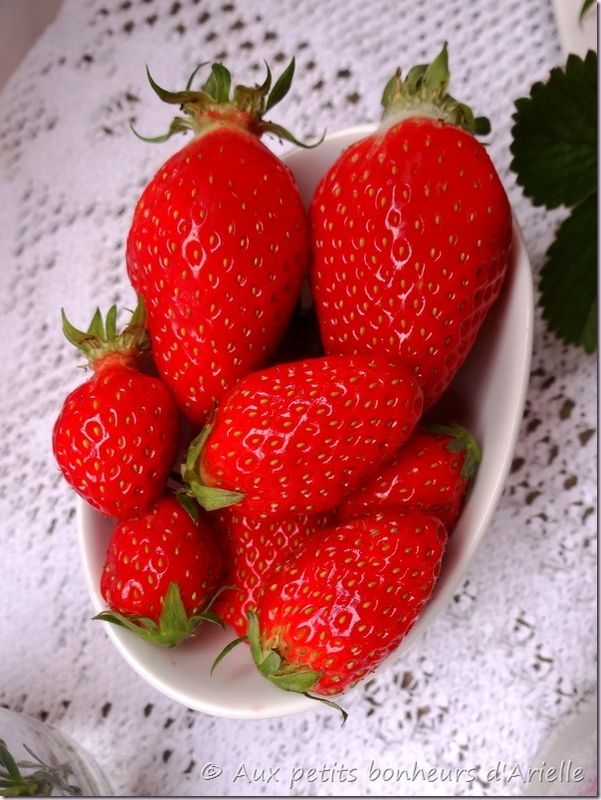 Fraises (14)