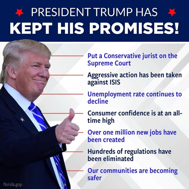 Donald Trump's first year accomplishments