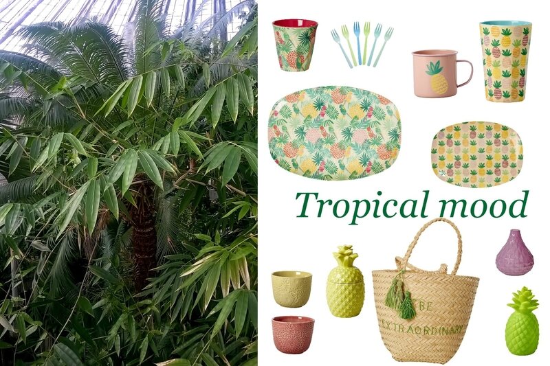 Tropical mood board