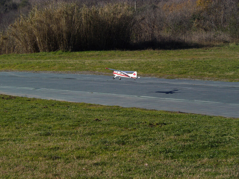 IMGP0741