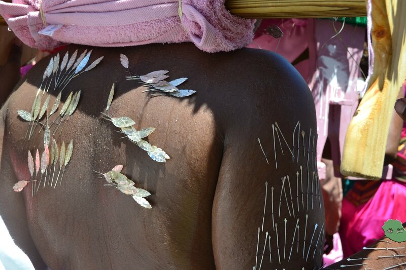 cavadee st andré 2015 17