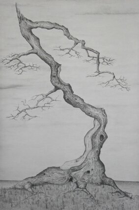 arbre9