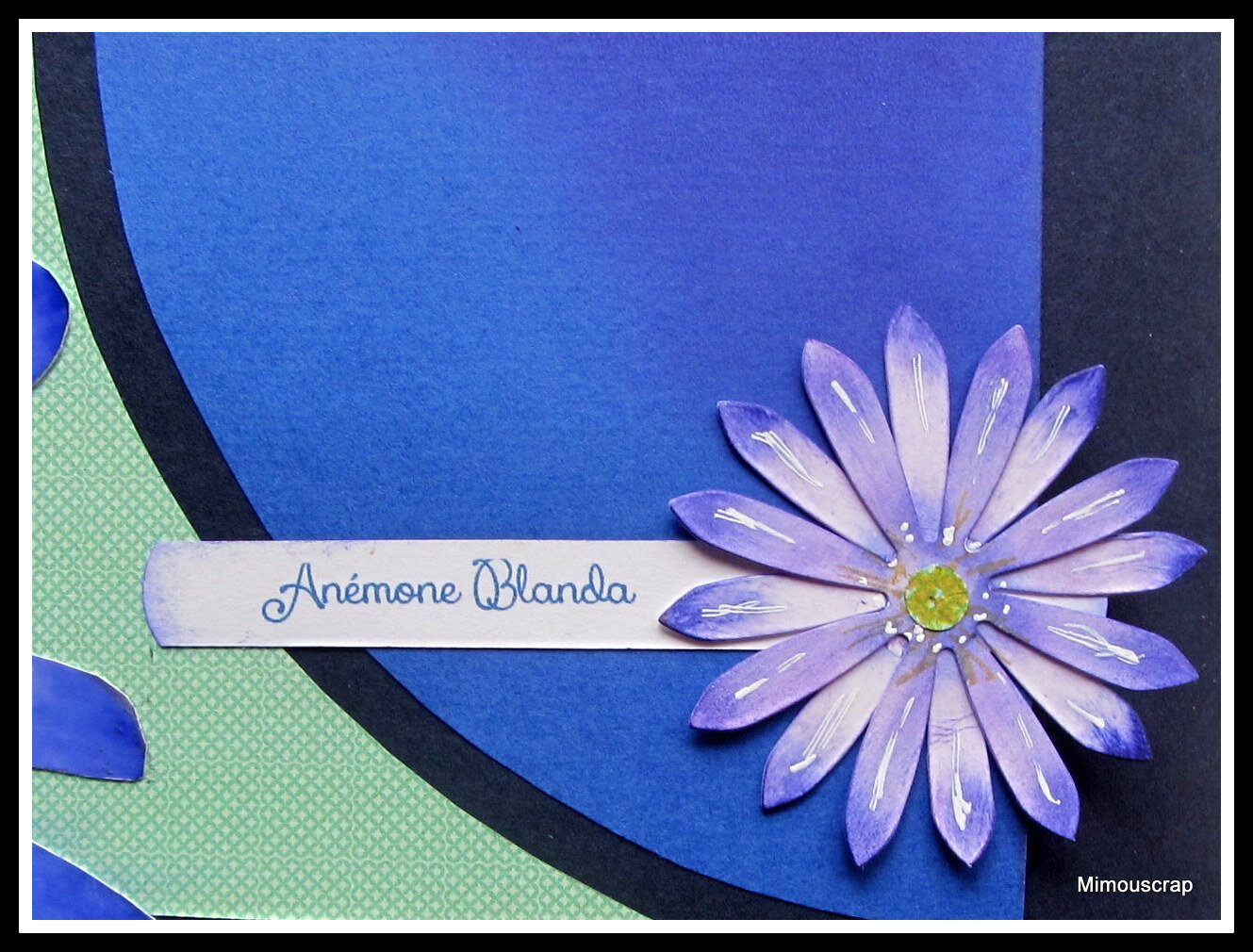 Jardin 2016 004