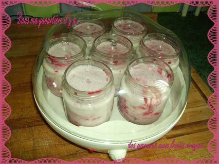 fruitsrouges3