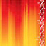 dna_background_red_1_