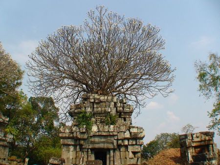 temple phnom bok_frangipanier_04