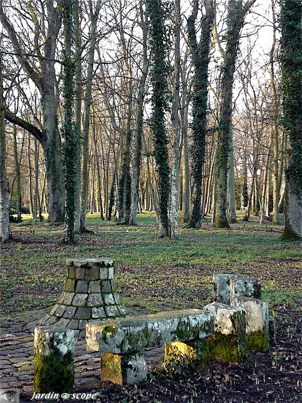 Banc en pierre moussue au Parc Floral de la source
