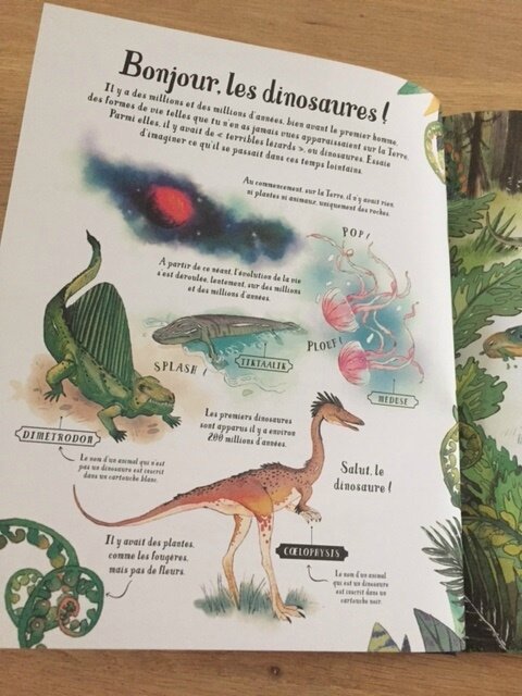 mon grand livre illustré les dinosaures 2