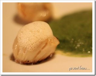 IMG_0919-1_modifié-1
