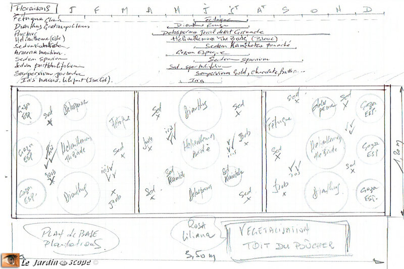 Plan-des-plantations-du-toit