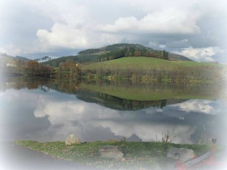 crops des Monts-du-Lyonnais 024