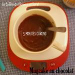 Mugcake au chocolat -recette facile (3)