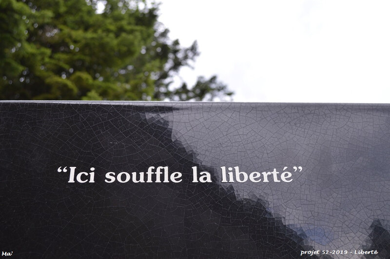 52-2019_S30_liberte