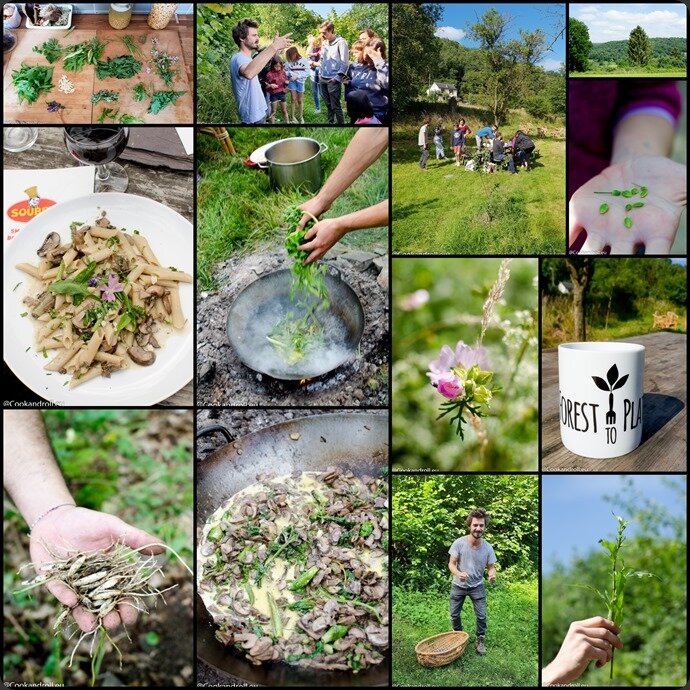 Soubry-Forest2Plate