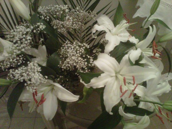 IMG01034-20121203-1949
