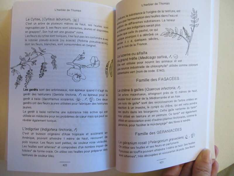 Les aventures de Thomas L'Aristoloche (3)